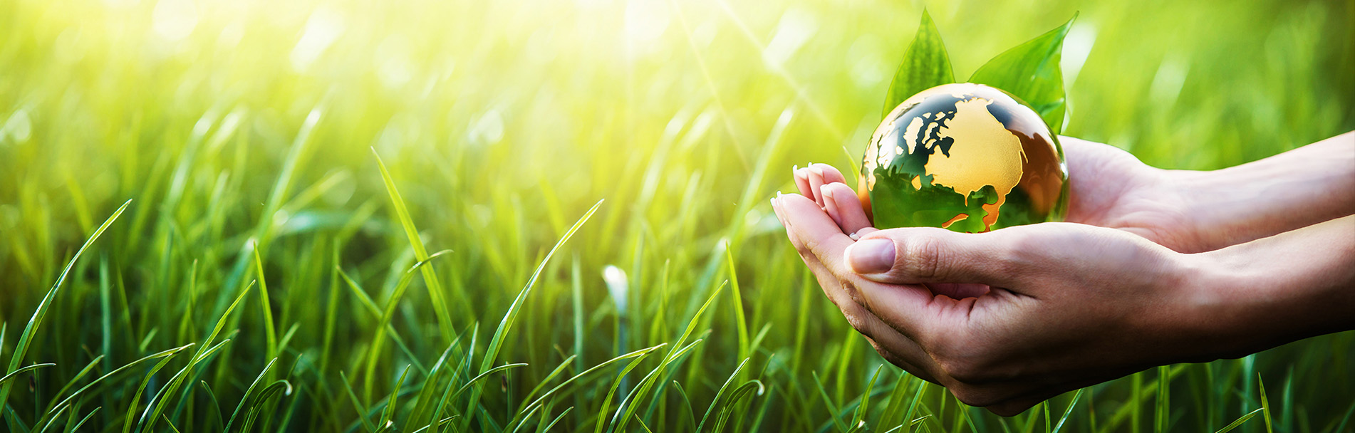 Actions pour la nature